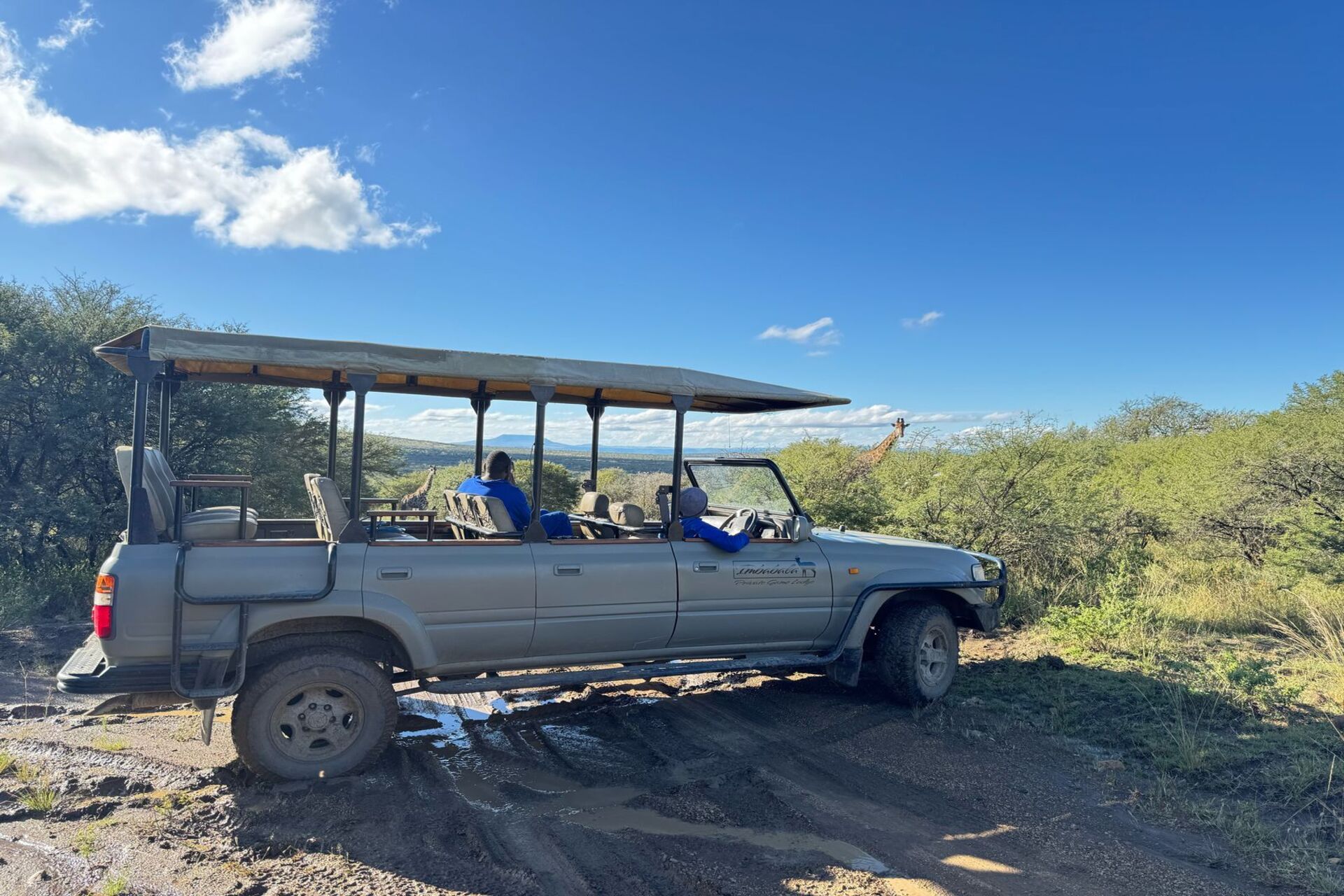 Game drives at Imbabala Lodge